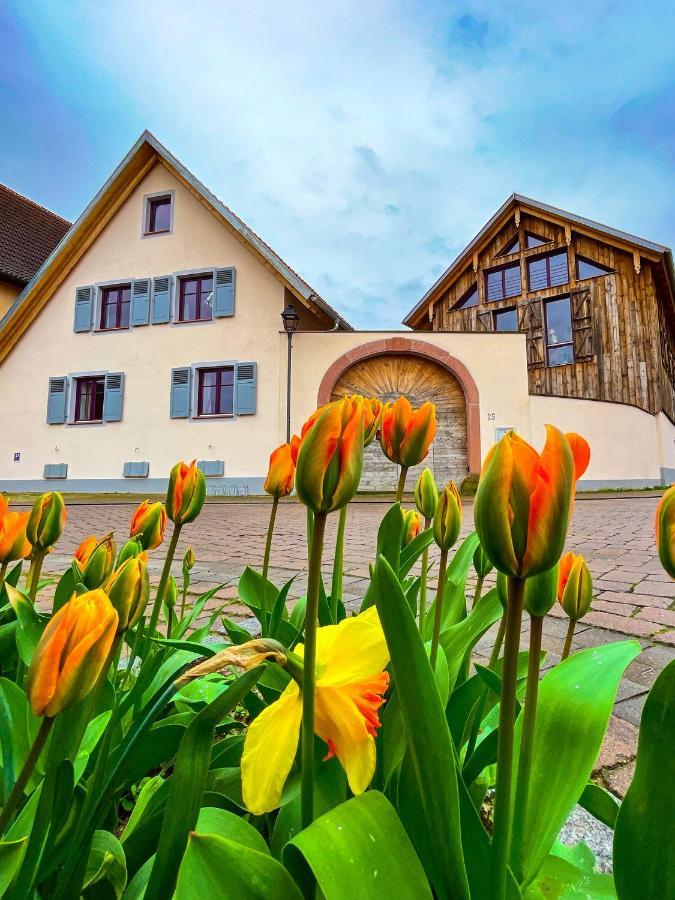 Storchenhof Teningen Kültér fotó