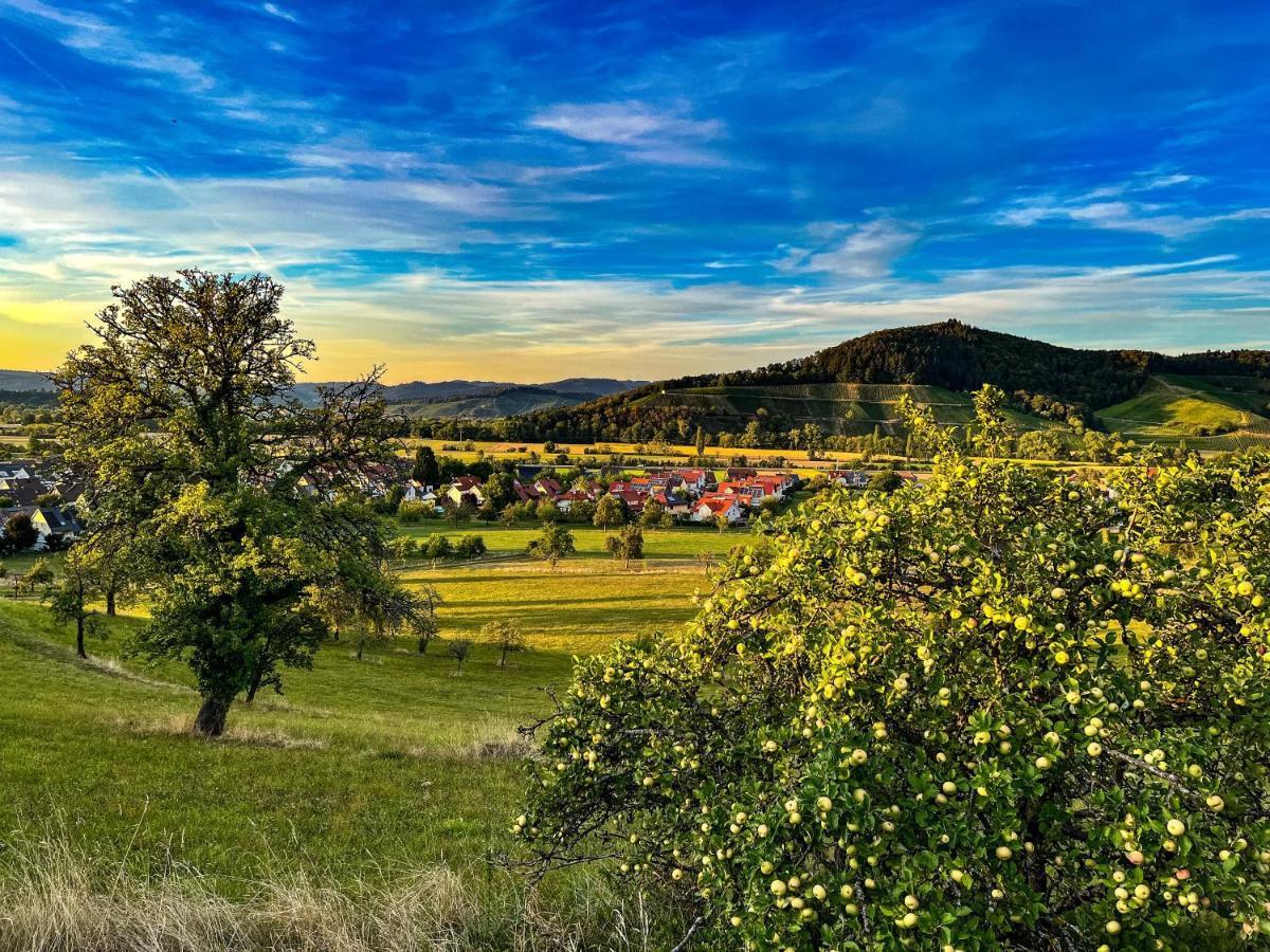 Storchenhof Teningen Kültér fotó