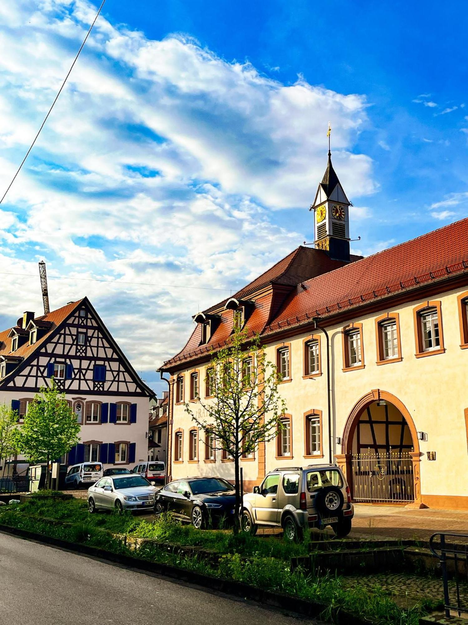 Storchenhof Teningen Kültér fotó
