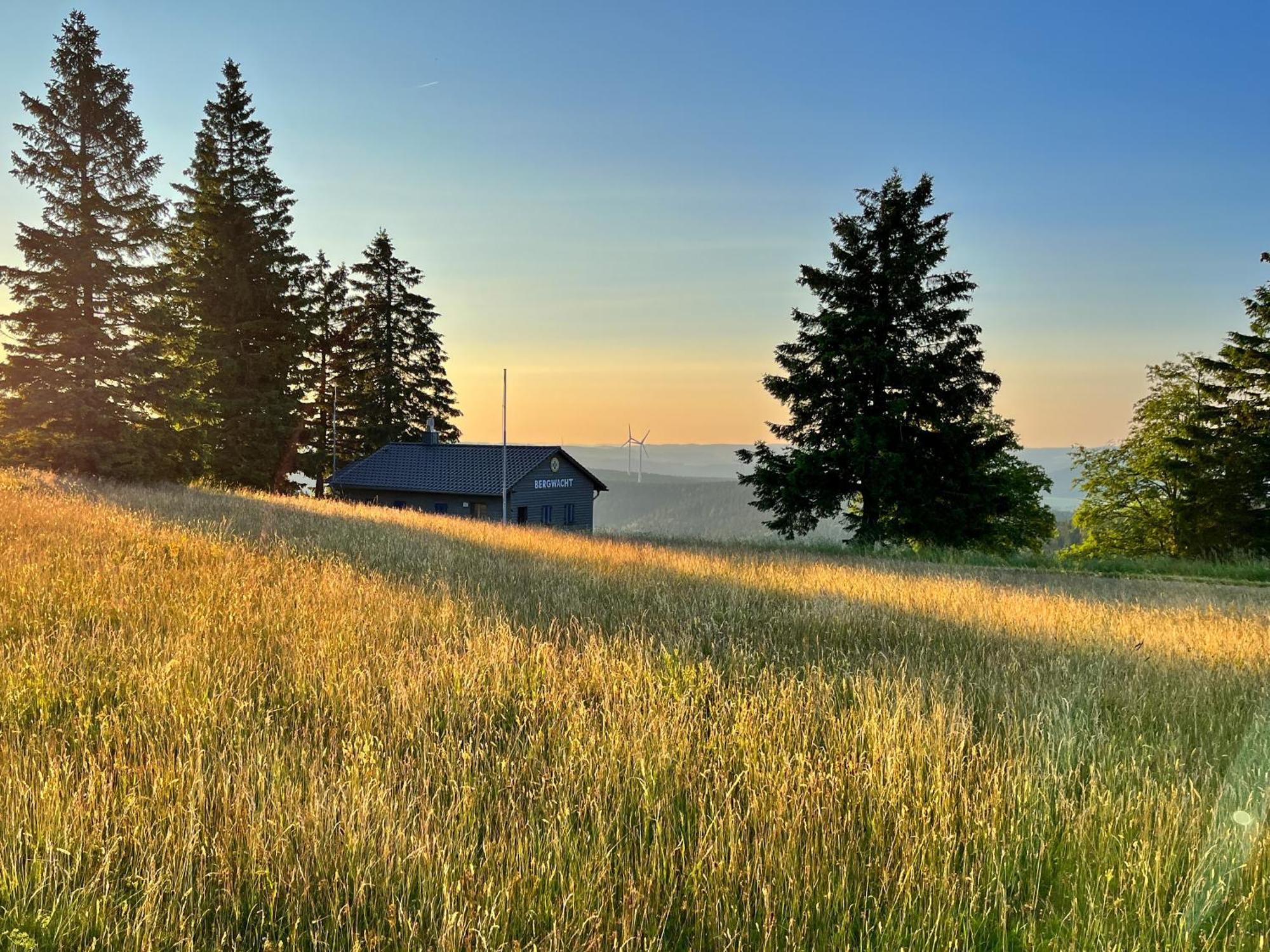 Storchenhof Teningen Kültér fotó