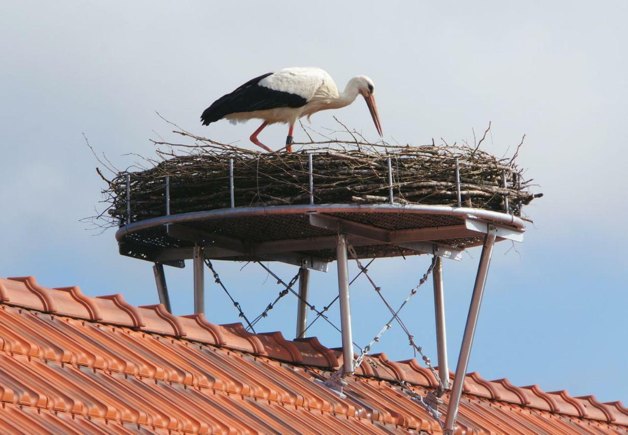 Storchenhof Teningen Kültér fotó